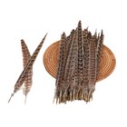 20 Pack 10-12 Inch Long Natural Pheasant Tail Feathers Diy Craft Party 25-30cm