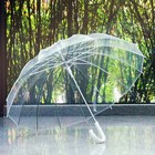 Clear Bubble Umbrella For Rain Wedding 16 Ribs Big Size Windproof Auto Open S   