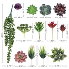 Cewor 14pcs Fake Succulents Unpotted Realistic Textured Succulent Plants Mini Ar