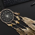 Awlee Handmade Dream Catcher With Feathers Native American Wall Decor