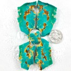 Gs1053 Aaa-grade Webbed Bookmatched Polychrome Hardy Pit Rough Stones 57 5 Gr