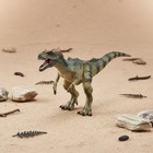 Allosaurus Figure Collectible Quality Realistic Dinosaur Model For Collectors