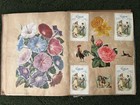 Large Antique Victorian Scrap Album-chromolithography Trade Card Ephemera 1800