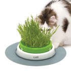 Catit Senses 2 0 Grass Planter - 43161