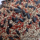 Dove Field Seed Mix     5 Lb Game Bird Attractant For Dove  Quail   Turkey