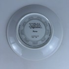 Xena -limited Edition China Collector Plate Xena Altared States  71 1000