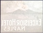 Excelsior Hotel Naples Italy Vintage Luggage Label 4 5 X 5 75 