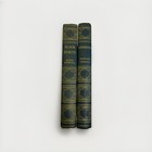 Lot Of 2 Antique Books Black Beauty And Kidnapped Printed In The Usa