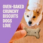 Wellness Classic P-nuttier Dog Biscuits  Natural Training Treats  Peanut Butt   