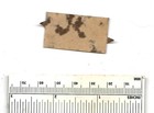 C1900 Mayo s Is Always Good - Tin Tobacco Tag With Tabs  - Vintage Plug Chewing