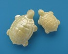 Two Realistic Turtle Buttons Vintage Celluloid Buttons Two Sizes Lot B