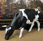 1 9 Traditional 3d Print Black   White Horned Steer Cow For Breyer Horses Cattle