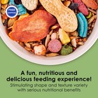 Kaytee Fiesta Mouse   Rat Food 2 Pound Pack Nutritious Blend Supports Dental