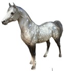 Vtg Breyer Proud Arabian Mare  Dapple Grey Flat Horse Usa