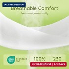 Ashler 12x20 Throw Pillow Inserts  Lumbar Pillows  Decorative Pillows For Couch