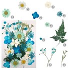 Cinvo 90 Pcs Real Dried Pressed Flowers And Leaves Natural Dried Petals For C   