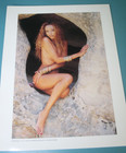 Lot Of 7 Perfect 10 Magazine Large 8-1 2x11 Promo Photos