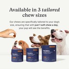Petlab Co  Allergy   Immune Daily Probiotics For Large Dogs 30 Chews Exp 10 26