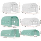 Walk-in Tunnel Greenhouse 10 12 15 20 28 30galvanized Frame Pe Cover Green White