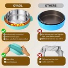 304 Stainless Steel Nonstick Leakproof Springform Cake Pan Set
