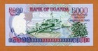 Uganda  5000  5 000  Shillings  2005  P-44b  Unc