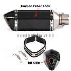 Low Mount Exhaust System Headers Muffler Pipe For Honda Grom Msx 125 Db Killer