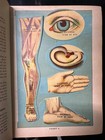 -1924 Medical Book -library Of Health- Phrenology- Plants -illustrations- 