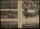 Wwii Frog Men U s  Navy Seals Underwater Demolition Units 1945 Pictorial