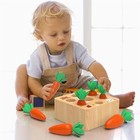 Montessori Carrot Harvest Wooden Toy For Baby Kids Educational Gift
