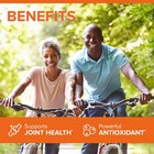 Qunol Turmeric Curcumin With Black Pepper   Ginger  2400mg Turmeric Extract