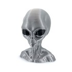 Grey Alien Head Bust 3d Printed   Sci-fi Extraterrestrial Collectible 4-12 