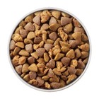 Smartblend Natural Dry Dog Food With Chicken   Rice