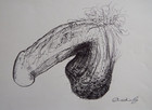 Original Pen   Ink Penis Drawing Male Phallus Male Nude Illustration Art Nsfw