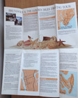 Golden Isles Of Georgia - Vintage 1987 Travel Brochure   Map