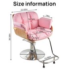 Hydraulic Barber Chair  Salon Shampoo Hair Styling Beauty Spa Equipment Pink