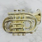 Heinrich Pocket Trumpet Mouthpiece Hard Case