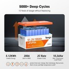 Temgot 48v Lifepo4 Lithium Golf Cart Battery 102ah 200a Bms 56 8v 18a Charger