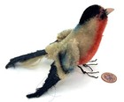 Steiff Bullfinch Song Bird 1960s Mohair 10cm 4in Flexible Wire Legs No Id Vtg