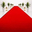 Red Carpet Runner For Party 3x10 Feet Non-slip Waterproof Aisle Runner Carpet