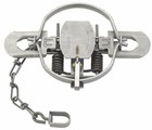 4 Duke  1 3 4 Coil Spring Traps 0475 Raccoon Coyote Bobcat Fox Trapping 5 1 4 