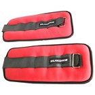 Balancefrom Fitness Fully Adjustable Ankle  Wrist  Arm  Leg Weights  10-lb Pair