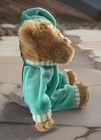 Vguc-11    Fao Schwarz Toys R Us Teddy Bear In Green Pajamas Plush Stuffed Animal