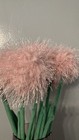 Five Cj Hendry Flower Market Shop 2026 Pink Alliums - Special Edition - Sold Out