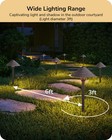 Edishine 12 Pack Low Voltage Led Path Lights  5cct Adjustable 2700k-5000k  Ip65