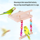 Natural Wood Bird Perch Platform With Colorful Chain Swing Toy  Parrot Hanging S