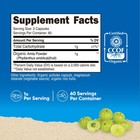 Nutricost Amla Capsules 1000mg  60 Servings  Made With Organic Amla