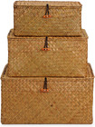 Woven Wicker Storage Bins With Lid  Seagrass Basket For Shelf Organizer  Extra L