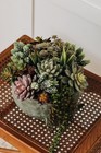 Fake Succulent Plants Bulk  16 Realistic Textured Picks  Home Decor  Green