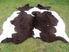 Dark Brown Chocolate   White Cowhide Rug Natural Cowhides Cow Hide Skin Black Bc