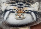 Grumpy Face Pallas s Steppe Manul Cat 11  Plush Stuffed Toy